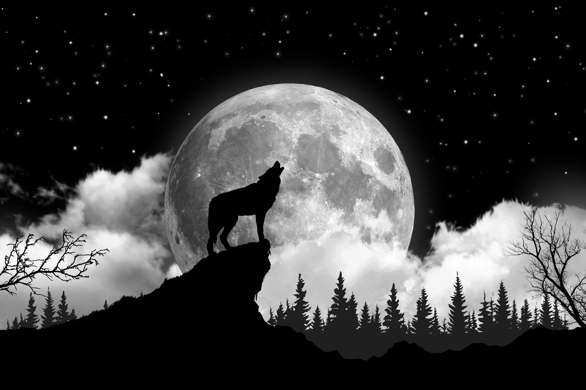 Wolf on the moon pattern tapestry null