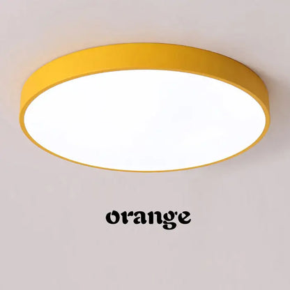 Modern minimalist ceiling light null