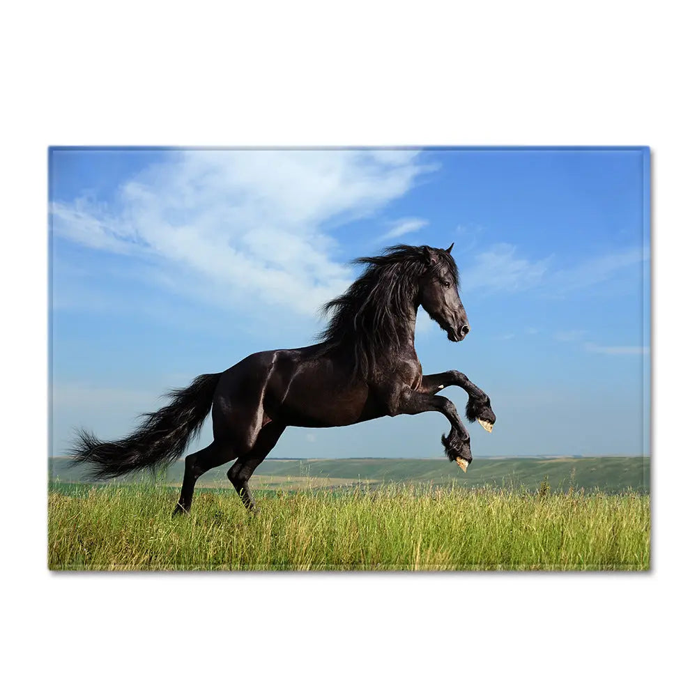 Dream Horse 3D Print Carpets For Living Room Bedroom null