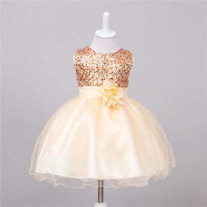 Baby Sequin Dress Flower Girl Wedding Princess Dress null