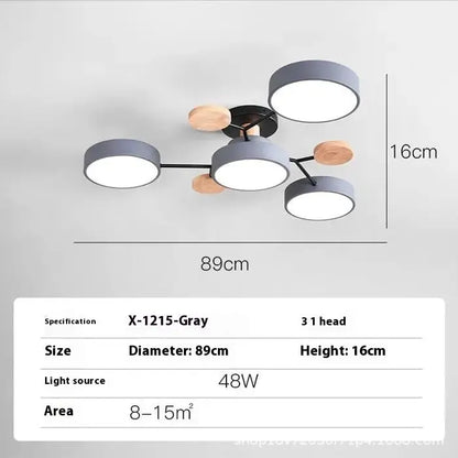 Living Room Ceiling Lamp Modern Minimalist Creative Lamps null