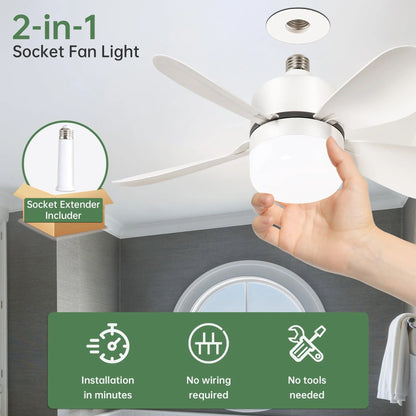 Plastic Ceiling Fans null